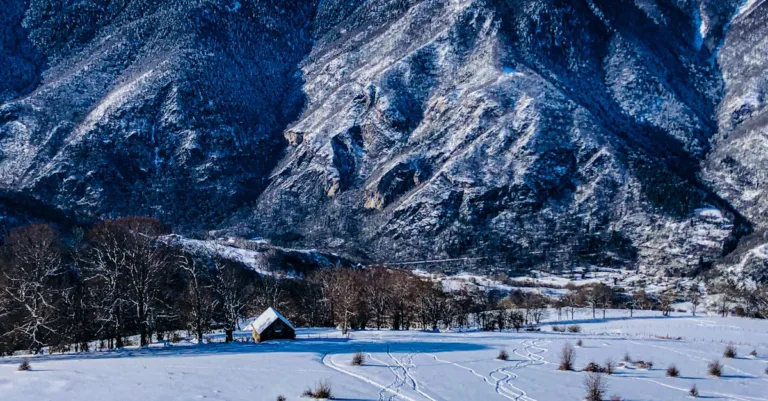 découvrez les meilleurs coloristes capillaires à grenoble pour une couleur de cheveux personnalisée et professionnelle. prenez rendez-vous dès maintenant !
