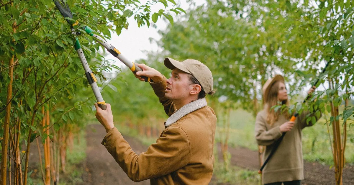 découvrez les meilleures techniques d'élagage pour entretenir vos arbres et arbustes, favoriser leur croissance et préserver leur santé tout au long de l'année.